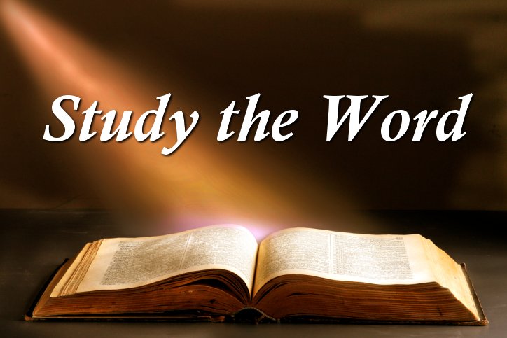 Study the Word